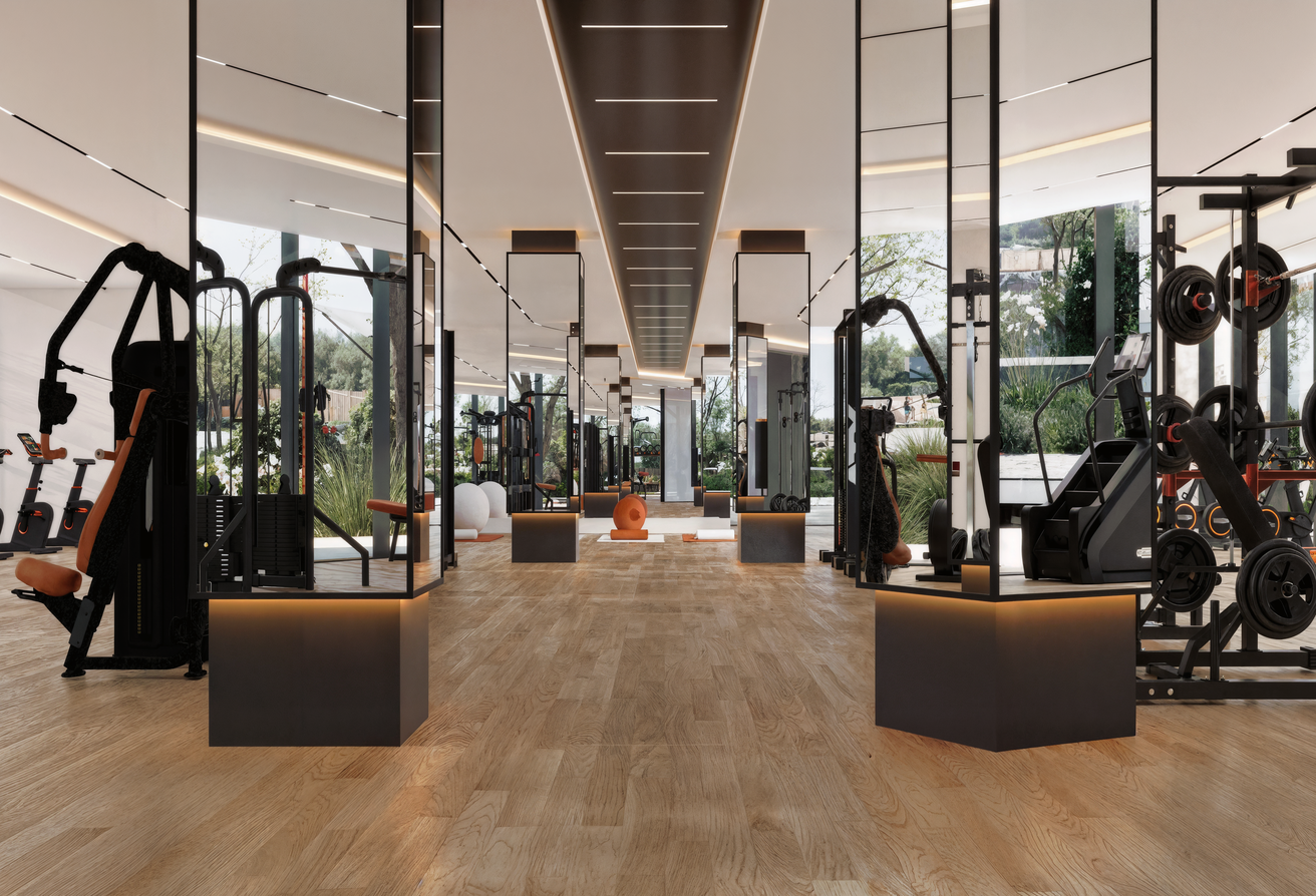 AH 2 GYM VIEW_1